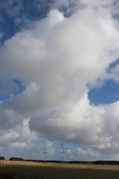 istock Wind turbines in field under blue sky with fluffy white clouds 1136587342
