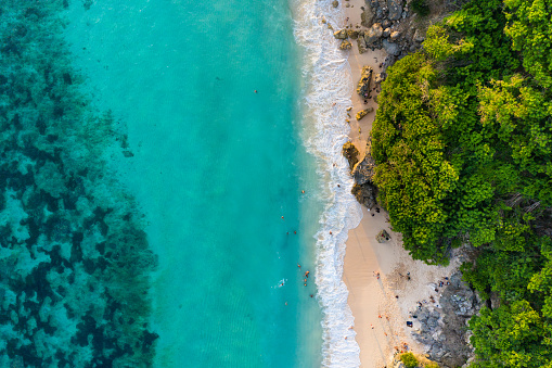 Beach scene from above - blue ocean and palm trees. Aerial drone shot.