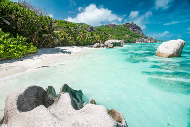 istock Paradise Island on Seychelles 1136590543