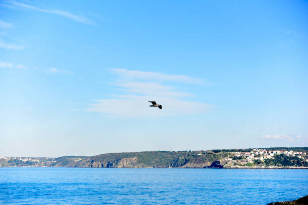 istock Beautiful, sea landscape 1136593058