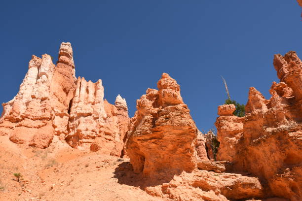 istock landscape on the bryce canyon 1136596210