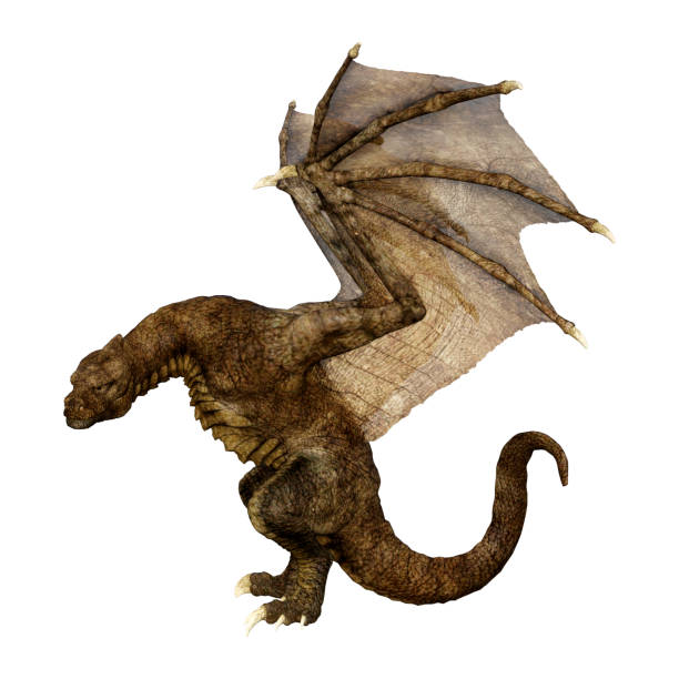 istock 3D illustration fantasy dragon on white 1136597071