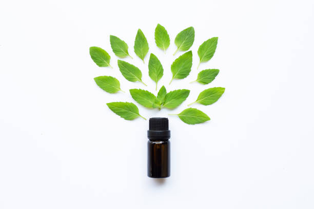 istock Essential oil with fresh mint leaves on white 1136597205