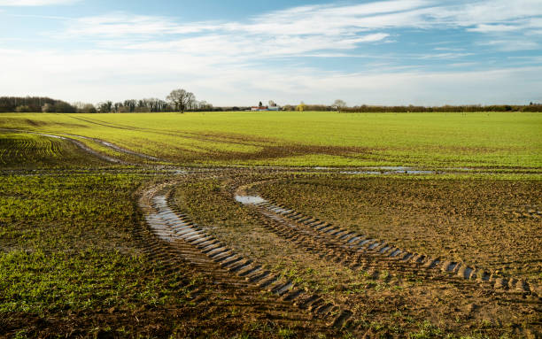 Ploughed farmland on bright spring morning, Beverley, Yorkshire, UK. Beverley, Yorkshire, UK. Agricultural landscape of ploughed field and tracks on a bright spring morning in Beverley, Yorkshire, UK. east riding of yorkshire photos stock pictures, royalty-free photos & images