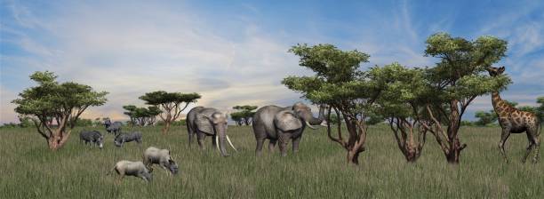 istock Compilation of various wild animals on African Savanna 1136598621