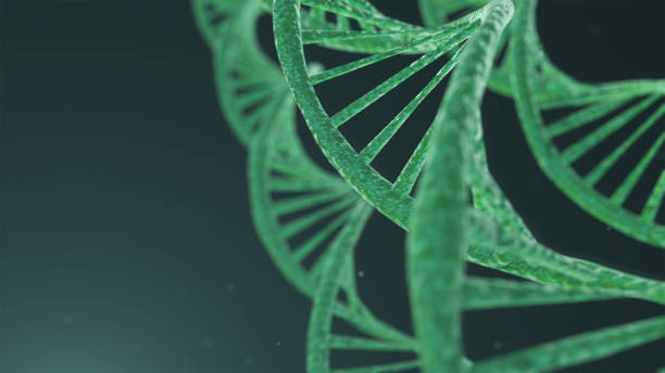 istock 3D rendering of DNA molecule on light green background. 1136602133