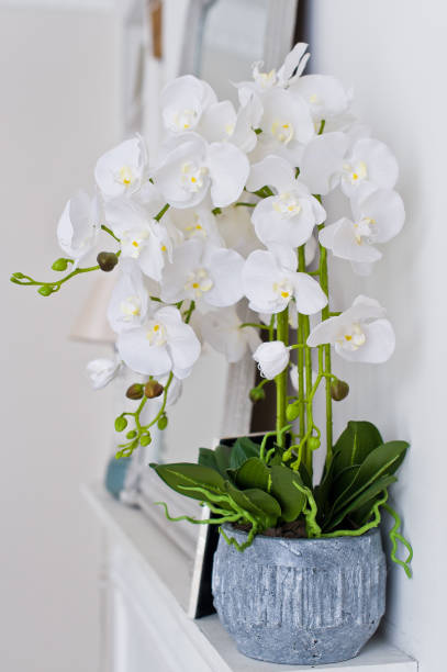 istock White Orchid in a pot on the fireplace. Stylish interior background. 1136602706