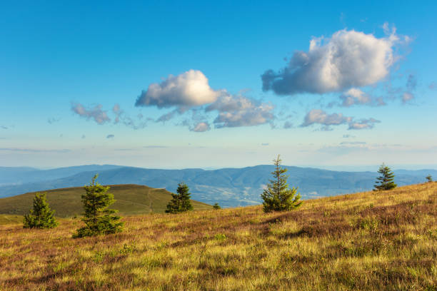 istock mountain scenery in summer afternoon 1136608628