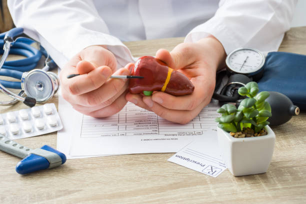 At doctors appointment physician shows to patient shape of liver with focus on hand with organ. Scene explaining patient causes and localization of diseases of liver, hepatobiliary system, gallbladder At doctors appointment physician shows to patient shape of liver with focus on hand with organ. Scene explaining patient causes and localization of diseases of liver, hepatobiliary system, gallbladder drug problem stock pictures, royalty-free photos & images