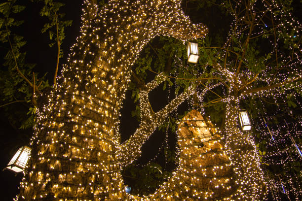 istock Decorative outdoor string lights hanging on tree in the garden at night time festivals 1136609270