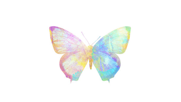 istock watercolor butterfly. tropical insect for design. isolated on white background 1136609852