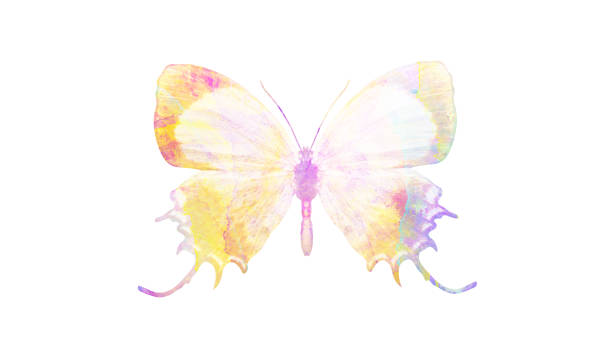istock watercolor butterfly. tropical insect for design. isolated on white background 1136609859