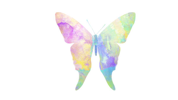 istock watercolor butterfly. tropical insect for design. isolated on white background 1136609874