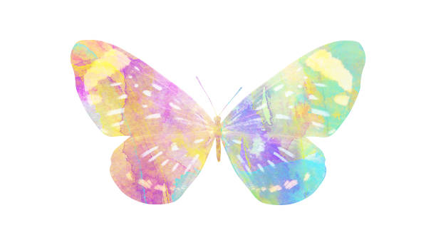 istock watercolor butterfly. tropical insect for design. isolated on white background 1136609880