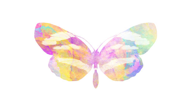 istock watercolor butterfly. tropical insect for design. isolated on white background 1136609884