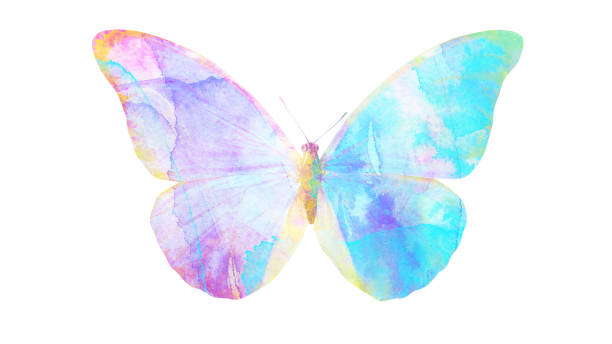istock watercolor butterfly. tropical insect for design. isolated on white background 1136609893