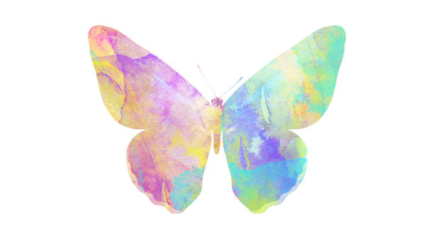 istock watercolor butterfly. tropical insect for design. isolated on white background 1136609895