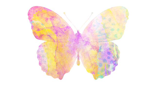 istock watercolor butterfly. tropical insect for design. isolated on white background 1136609901