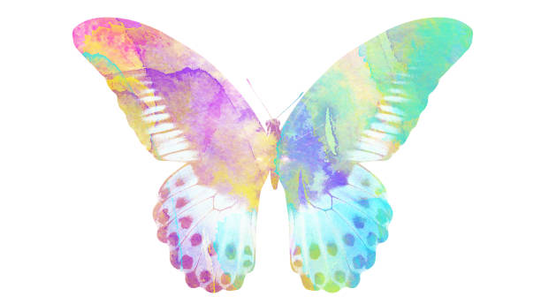 istock watercolor butterfly. tropical insect for design. isolated on white background 1136609902