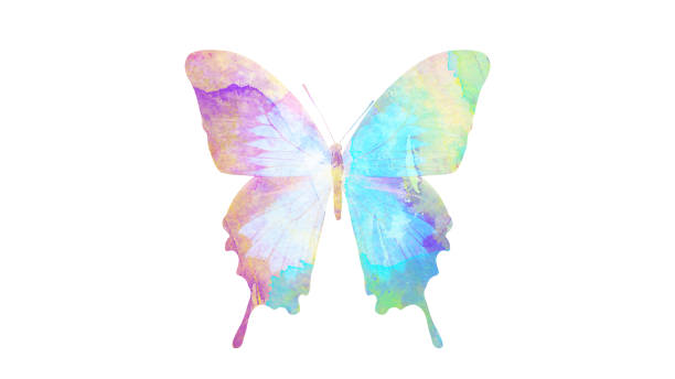 watercolor butterfly. tropical insect for design. isolated on white background