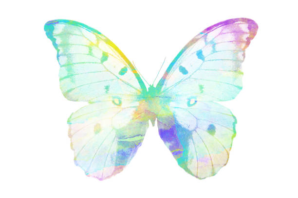 istock watercolor butterfly. tropical insect for design. isolated on white background 1136609925