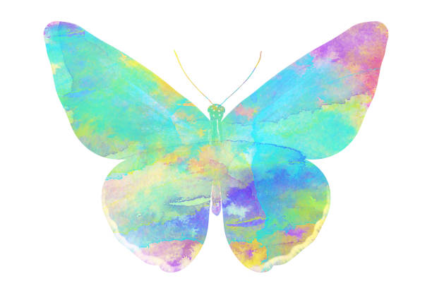 istock watercolor butterfly. tropical insect for design. isolated on white background 1136609927