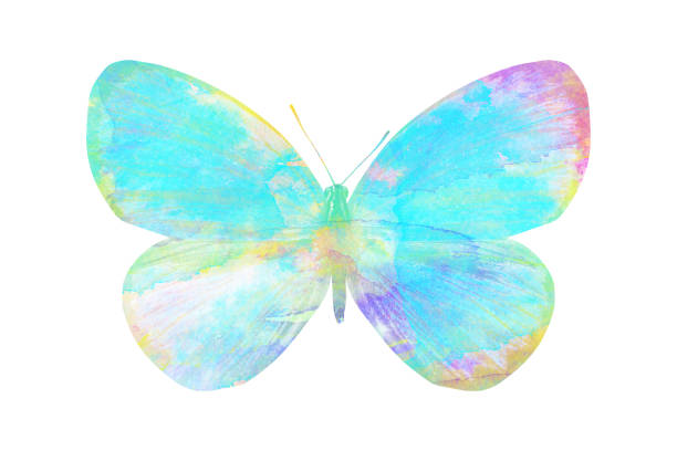 istock watercolor butterfly. tropical insect for design. isolated on white background 1136609940