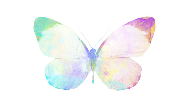 istock watercolor butterfly. tropical insect for design. isolated on white background 1136609953