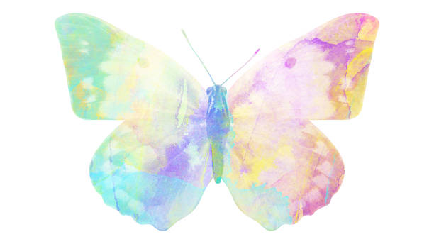 istock watercolor butterfly. tropical insect for design. isolated on white background 1136609956