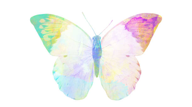 istock watercolor butterfly. tropical insect for design. isolated on white background 1136609965