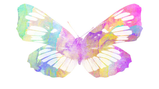 istock watercolor butterfly. tropical insect for design. isolated on white background 1136609968