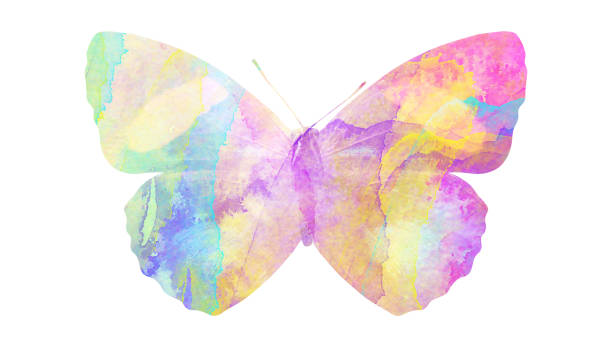 istock watercolor butterfly. tropical insect for design. isolated on white background 1136609988