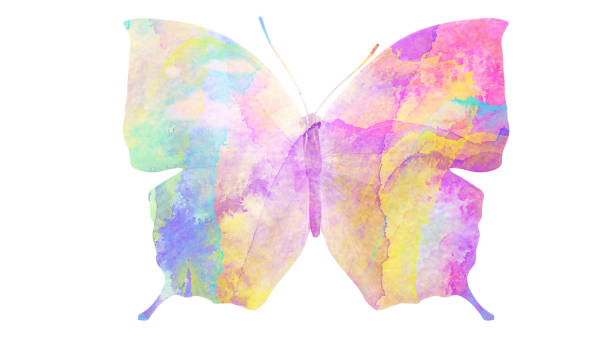 istock watercolor butterfly. tropical insect for design. isolated on white background 1136609989