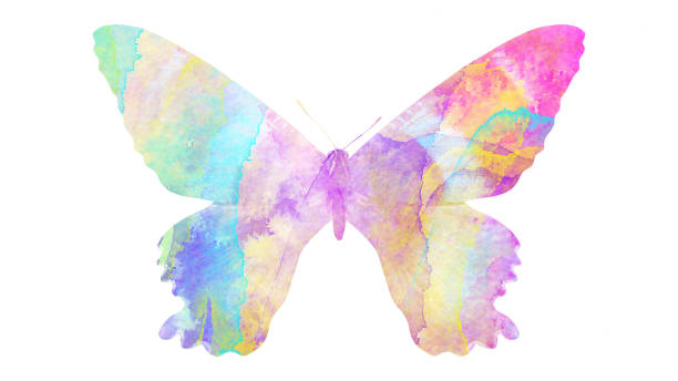 istock watercolor butterfly. tropical insect for design. isolated on white background 1136609996