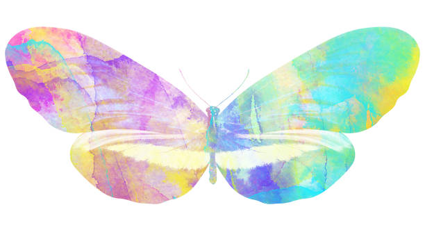 istock watercolor butterfly. tropical insect for design. isolated on white background 1136610015