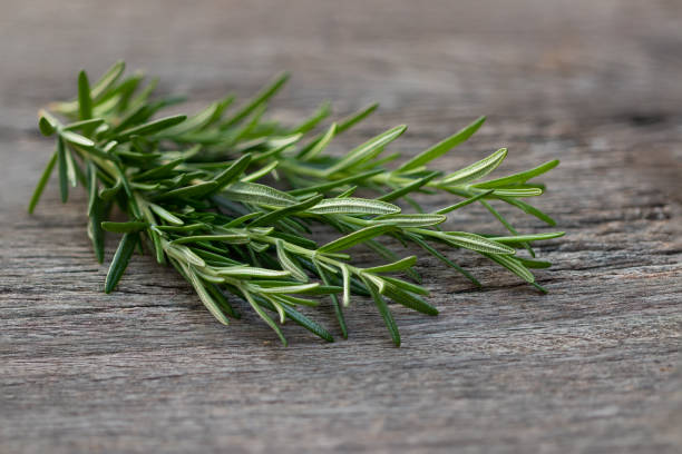 istock Rosemary in herb garden ,macro close up leaf over  wooden table 1136610510