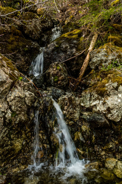 istock Roadside runoffs, Route 450, Newfoundland Canada 1136613785