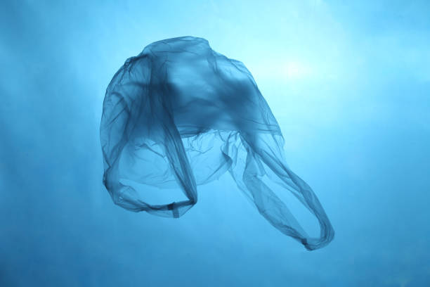 istock Plastic bag in blue water, garbage under water, plastic pollution of the oceans 1136617934