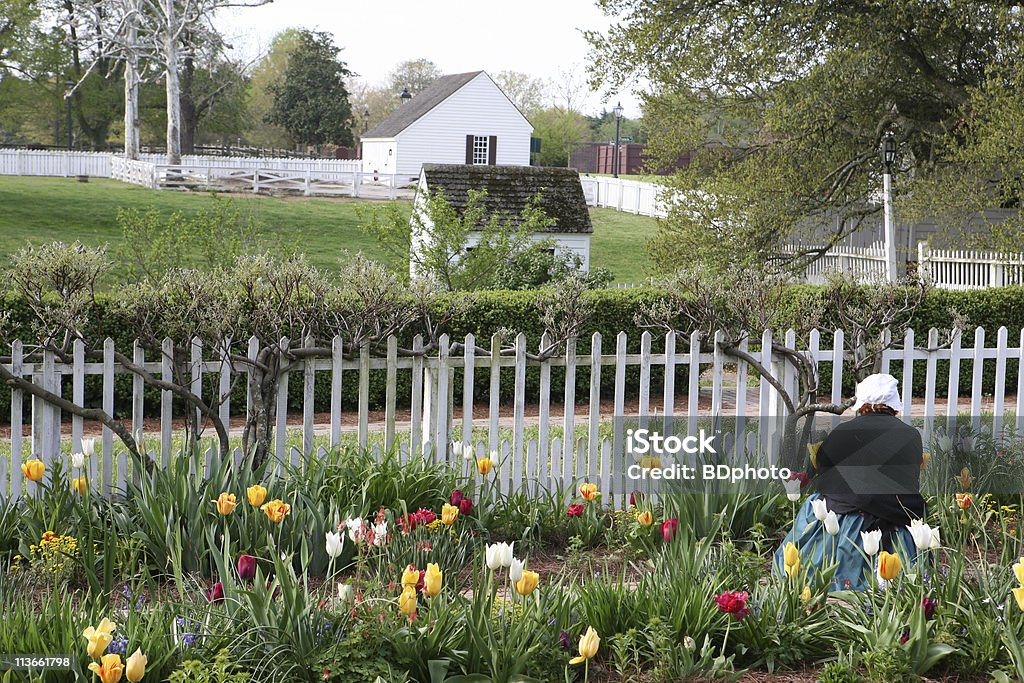 colonial flower garden in Williamsburg, Virginia  Colonial Style Stock Photo