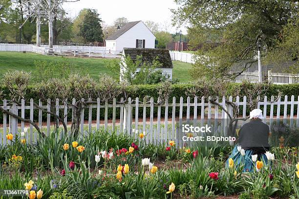 Colonial Flower Garden In Williamsburg Virginia Stock Photo - Download Image Now - Colonial Style, Williamsburg - Virginia, Virginia - US State