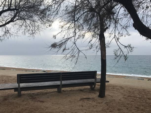 istock Lonely autumn bench in the sea 1136622498