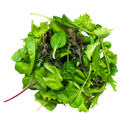 Salad mix with rucola, lettuce, spinach isolated on white background.
