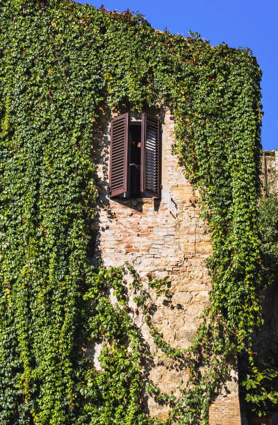 istock Beautiful facade, Tuscany, Italy 1136627944