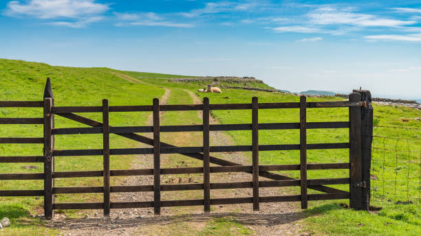 istock Pen-y-ghent, North Yorkshire, England, UK 1136628125