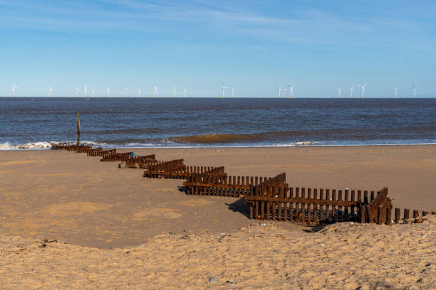 Bracklesham Bay beach groyne at low tide