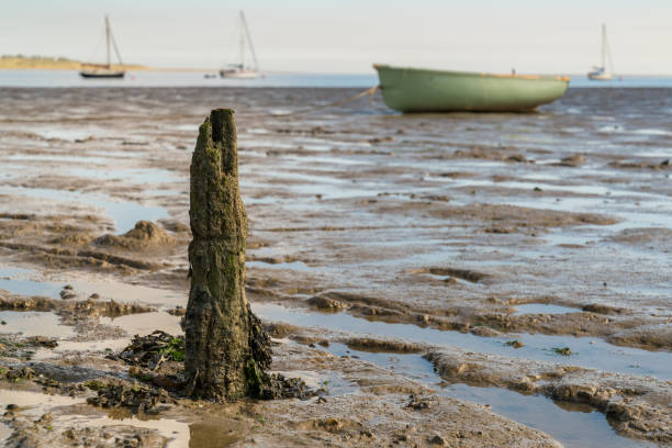 Silt in the mudflats at low tide, Germany