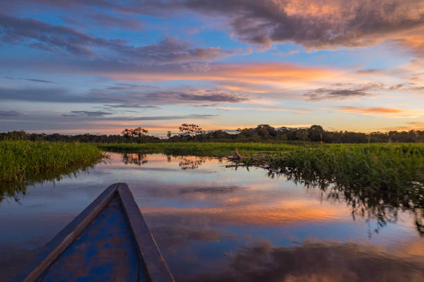 boat ride during sunset in the rainforest of peru - water lake reflection tranquil scene imagens e fotografias de stock