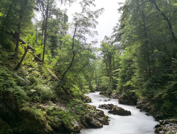 istock The vintgard river, Slovenia 1136632873