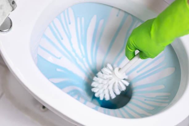 istock cleaning toilet bowl using brush and detergent 1136634570