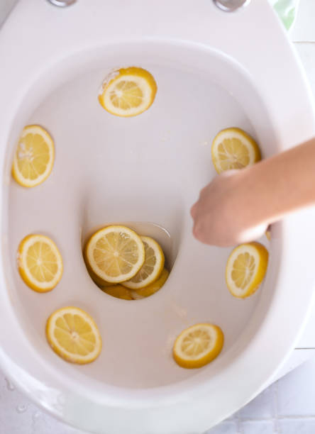 istock cleaning and refreshing toilets with citrus 1136635686